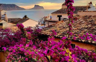 LUXURY ALTEA Campomanes - Photo 44