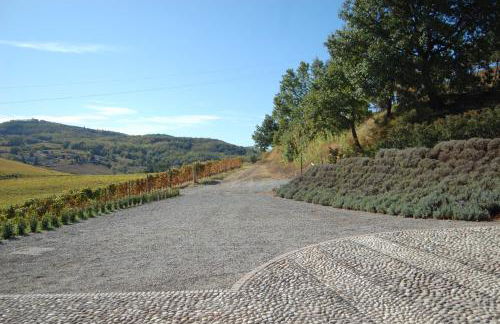 Azienda Agricola La Ghibellina - Foto 32