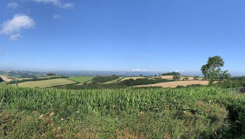 The Cabin at Barnstormers, luxury woodland setting - Foto 3