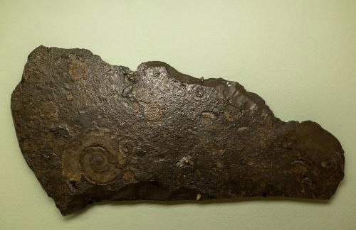 Gemütliche Ferienwohnung "Zum Kalten Feld" - Foto 20