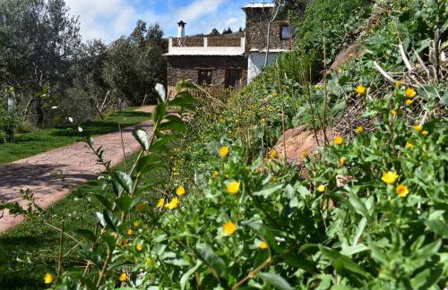 Dreams Alpujarra - Foto 45