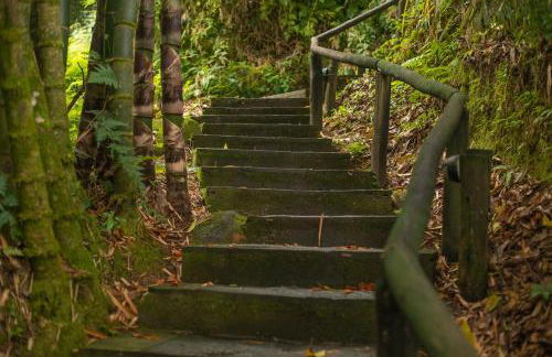 Vista espetacular, no meio da mata, com conforto - Foto 41