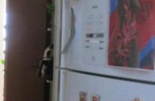 Três quartos Graça - Foto 22