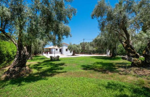 Jim's villa - Foto 1