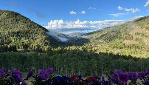 New for 2025 Chalet Homestake View - Foto 5