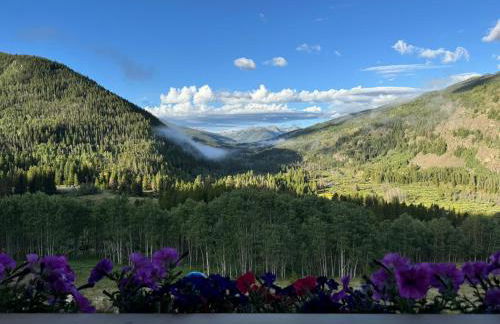 New for 2025 Chalet Homestake View - Foto 5