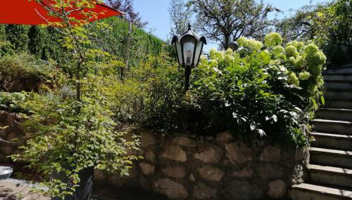 Strasser Margret - Foto 4