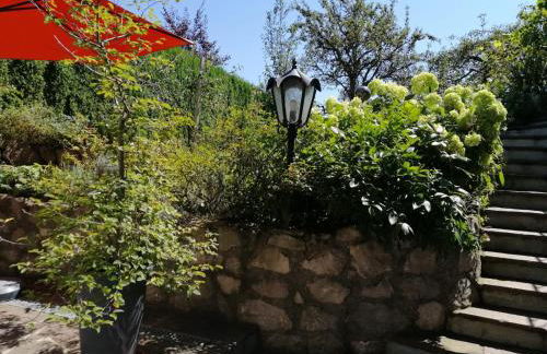 Strasser Margret - Foto 4