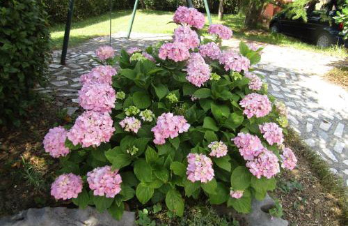 Apartment Pino - Foto 40