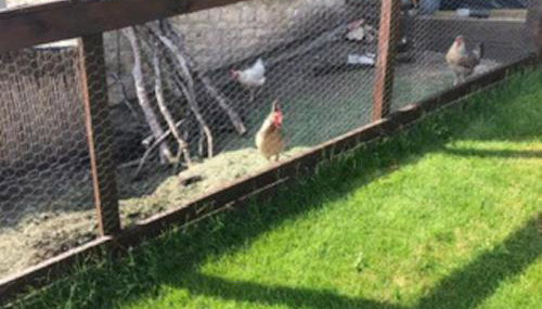 A Cotswold Cabin with Great Views and a Hot Tub - Foto 4