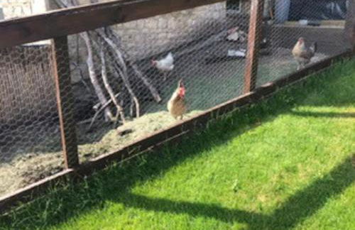 A Cotswold Cabin with Great Views and a Hot Tub - Foto 4