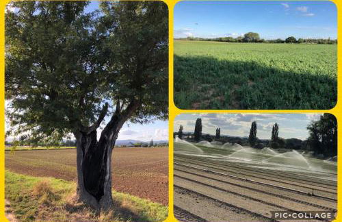 Willkommen in unserem kleinen Paradies - Foto 34