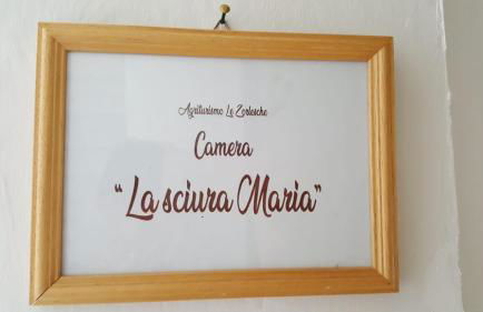 AGRITURISMO LE ZORLESCHE - Foto 12