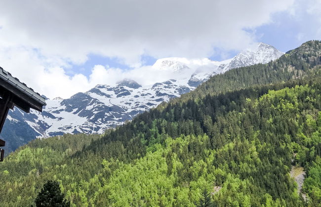 Le Brûlaz - Foto 14