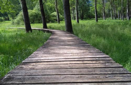 Le Betulle - Foto 19