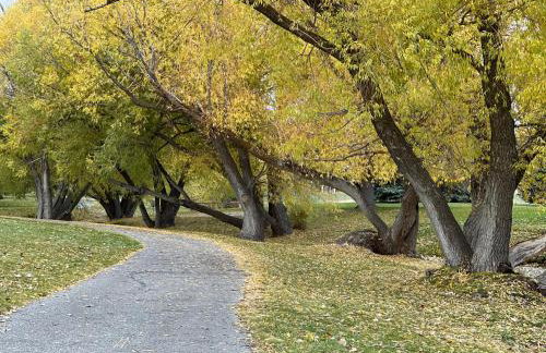 Falls & Fields-Stylish Stay in the Heart of Idaho Falls - Foto 20