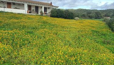 Funtana e Caddos apartment - Foto 2