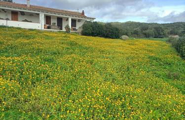 Funtana e Caddos apartment - Foto 2