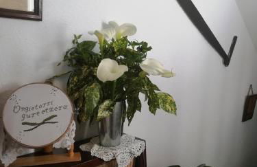 Agroturismo Pagoederraga - Foto 62