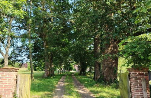 La Glane at Le Maingaud - Foto 29