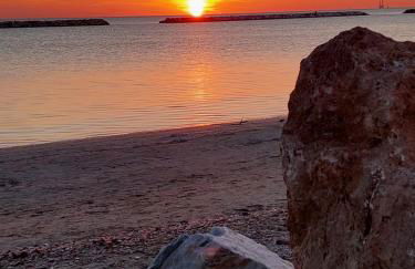 La Conchiglia - Foto 44