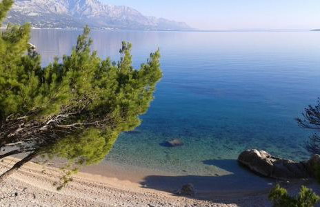 Villa Silvana Brown - Photo 28