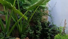 Xenia Boutique Apartment - Foto 3, Garden