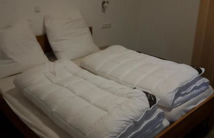 Ferienhof Wikner - Foto 17