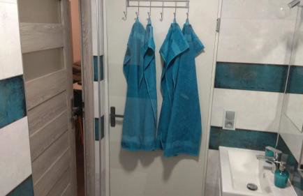 Blu Raj - domy w Sudetach - Foto 77