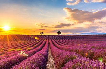 Appartement climatisé Parc Paradis 150 m des thermes - Foto 13