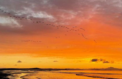 Kirkapol Beach Sleeps 4 With Dog Access - Foto 13