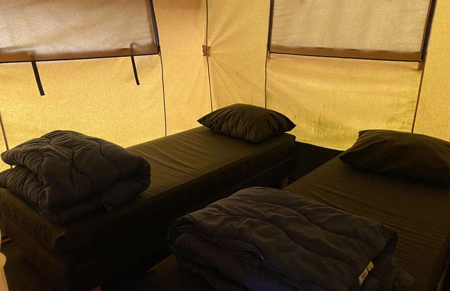 Holidaypark Duinhoeve - Photo 23