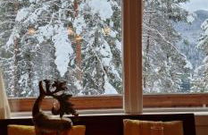 Chalet Yvonne - Photo 16