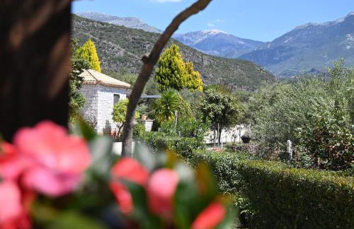 Mouses Apartments-Kardamyli - Foto 62