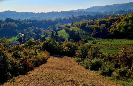 Deja View - Photo 35