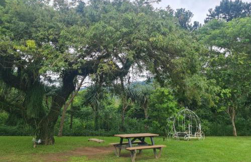 Apto 2 ambientes 1 quarto e a sala Cond Reserva do Sahy - Foto 10