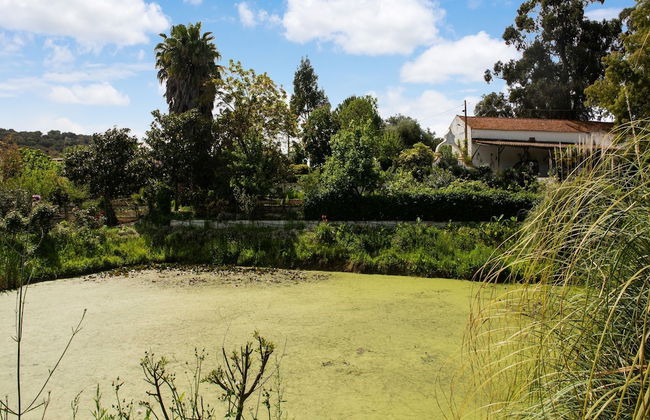 Wine Country Home in Alentejo - Foto 34