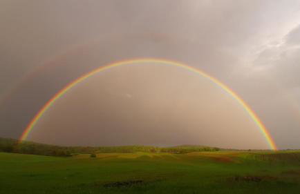 Tiny House Grabovac - Foto 49