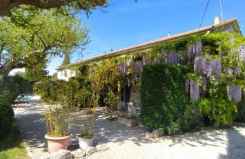 Mas de St-Andiol - Foto 5