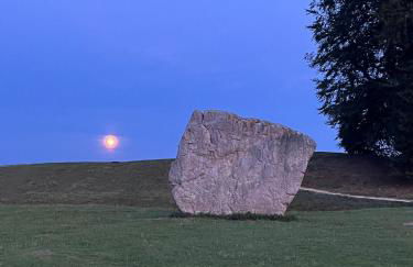 The Swallows Rest, Avebury - Foto 42