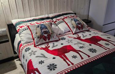 POKÓJ RODZINNY SERCE KRYNICY - Foto 15