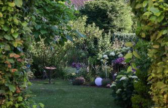 Helle 4 ZKB mit Balkon in Wittlich - Foto 33