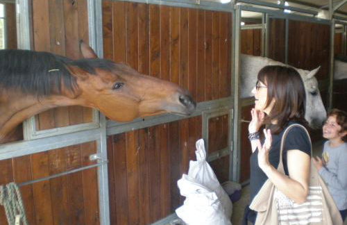 Podere Calledro - Foto 55