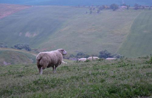 Antico Feudo San Giorgio - Foto 21