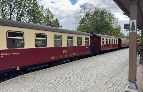 Appartementhaus Der Krauterhof in Drei Annen Hohne - Foto 35