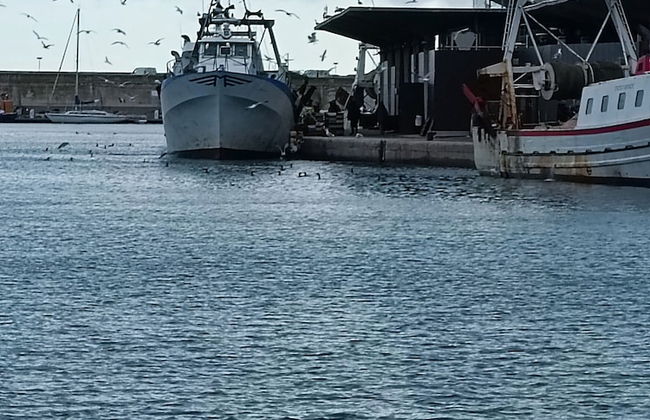 La Maison Verte Sète - Foto 55