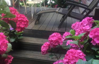 Haus Rothenstein, ruhige FeWo, ca. 10 min. zu Messe und Flughafen - Photo 20