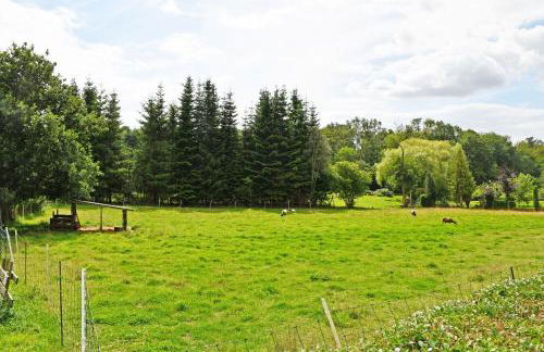 Ferienhaus Güstelitz mit viel Natur - Foto 10