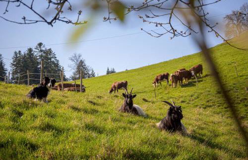 Hansjörgenhof Bioland-Hof - Foto 5