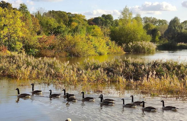 Beautiful 1-bed Apartment in London City - Foto 11